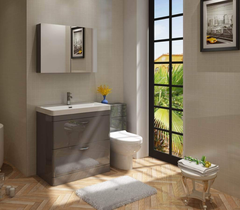 Apollo 2 Drawer Floorstanding Vanity With Basin