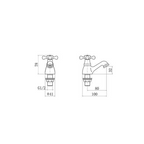 Traditional Basin taps pair
