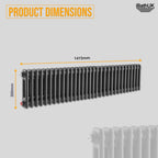 Helena Horizontal Column Radiator