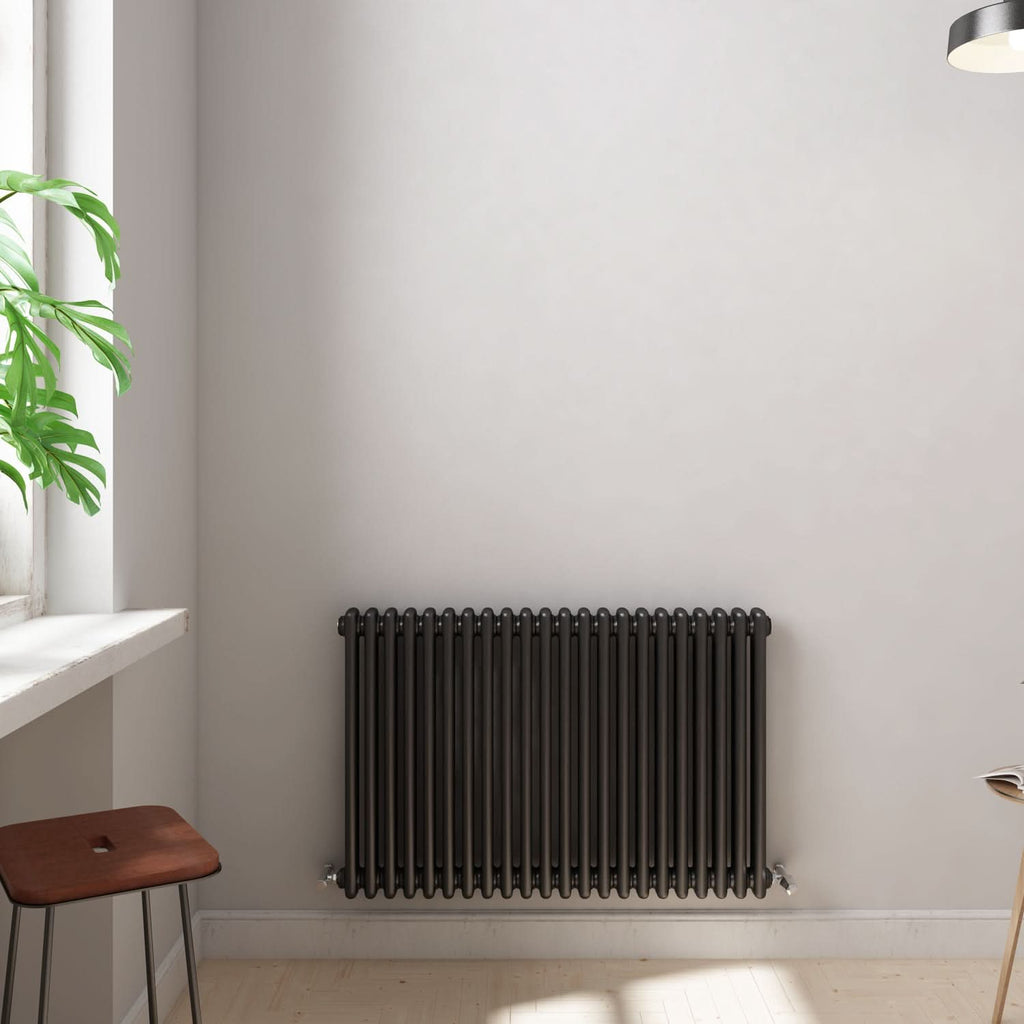 Helena Horizontal Column Radiator