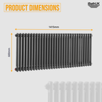 Helena Horizontal Column Radiator