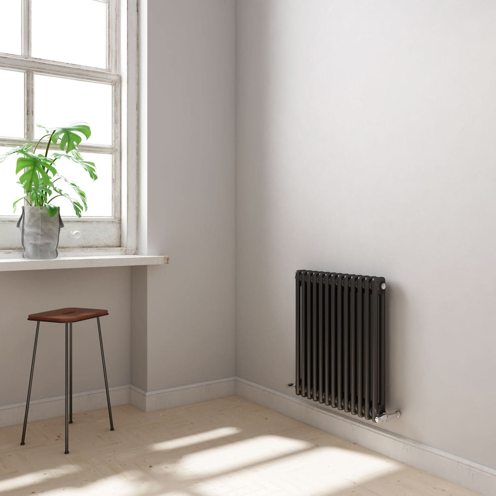 Helena Horizontal Column Radiator