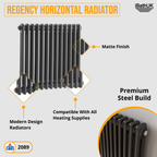 Helena Horizontal Column Radiator