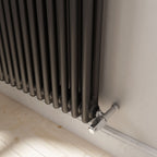 Helena Horizontal Column Radiator