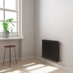 Helena Horizontal Column Radiator