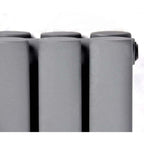 Princia Vertical Oval Double Panel Radiator