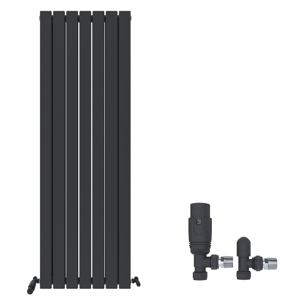 On the left is the iBathUK Apex Vertical Double Panel Slim Flat Designer Radiator in matt anthracite with evenly spaced panels, while on the right are two black valve fittings with metallic connectors against a white background.