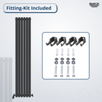 Princia Vertical Double Oval Panel Radiator