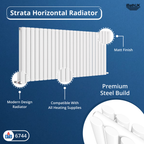 Princia Horizontal Double Oval Panel Radiator
