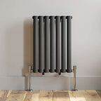 Princia Horizontal Single Oval Panel Radiator