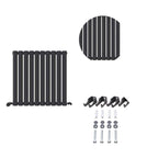 Princia Horizontal Single Oval Panel Radiator