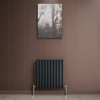 Princia Horizontal Single Oval Panel Radiator
