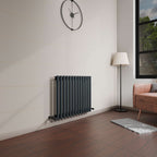 Princia Horizontal Single Oval Panel Radiator