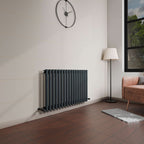 Princia Horizontal Single Oval Panel Radiator