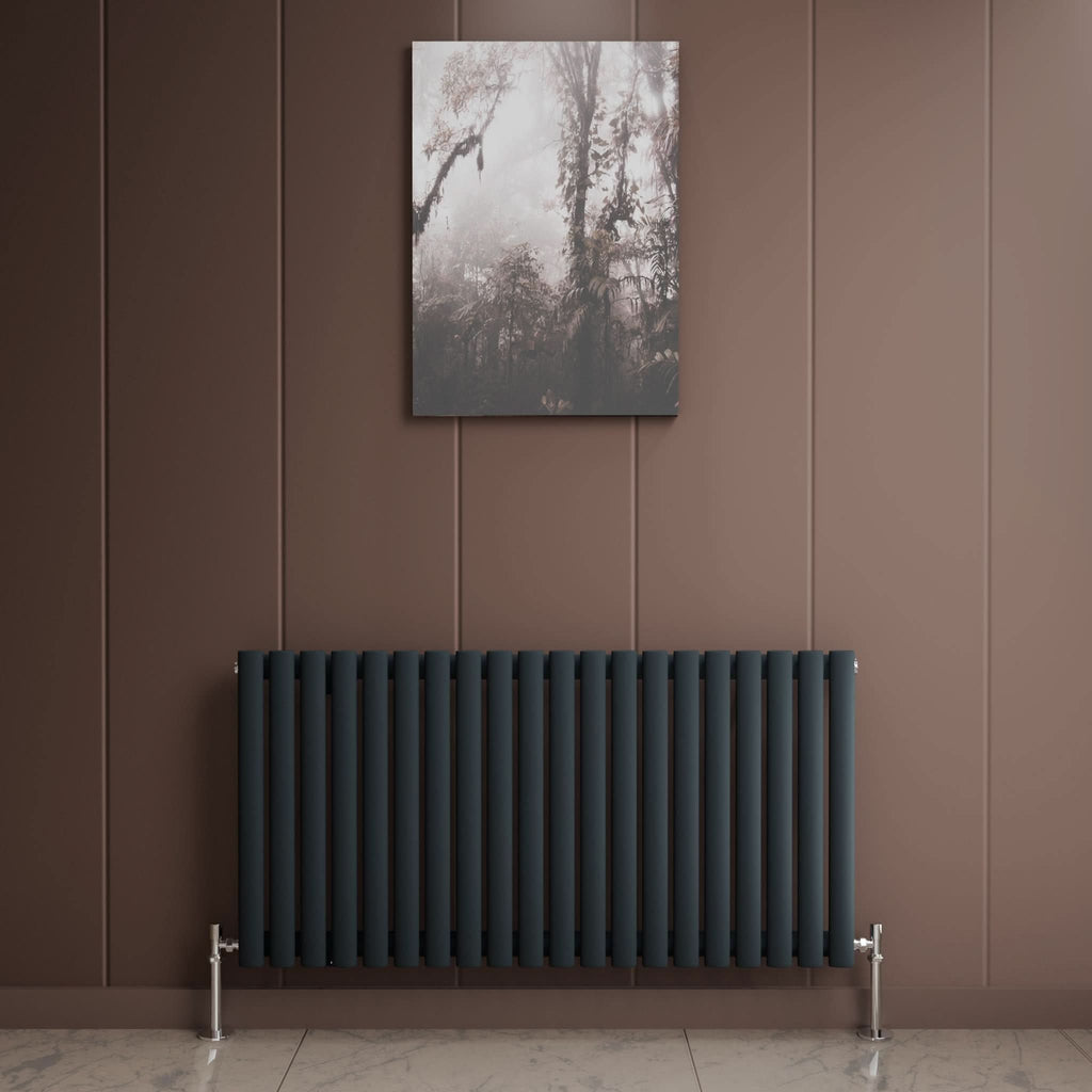 Princia Horizontal Single Oval Panel Radiator