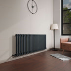 Princia Horizontal Single Oval Panel Radiator