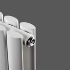 Princia Horizontal Double Oval Panel Radiator