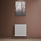 Princia Horizontal Single Oval Panel Radiator