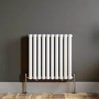 Princia Horizontal Single Oval Panel Radiator