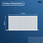 Princia Horizontal Single Oval Panel Radiator