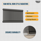 Helena Traditional Horizontal Column Radiator - Raw Metal