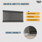 Helena Traditional Horizontal Column Radiator - Raw Metal