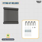 Helena Traditional Horizontal Column Radiator - Raw Metal