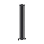 Princia Vertical Oval Double Panel Radiator