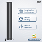 Princia Vertical Oval Double Panel Radiator