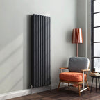 Princia Vertical Oval Double Panel Radiator