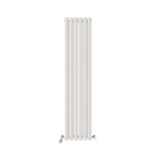 Princia Vertical Oval Double Panel Radiator