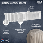 Helena Horizontal Column Radiator