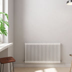 Helena Horizontal Column Radiator