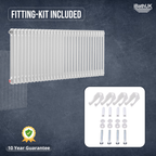 Helena Horizontal Column Radiator